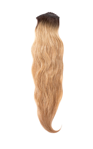 Priscilla Valles Hand Tied Tape-In 21" Rooted Dark Blonde 8